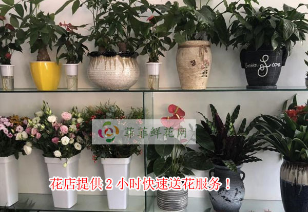 开封花店提供开封2小时快速送花服务
